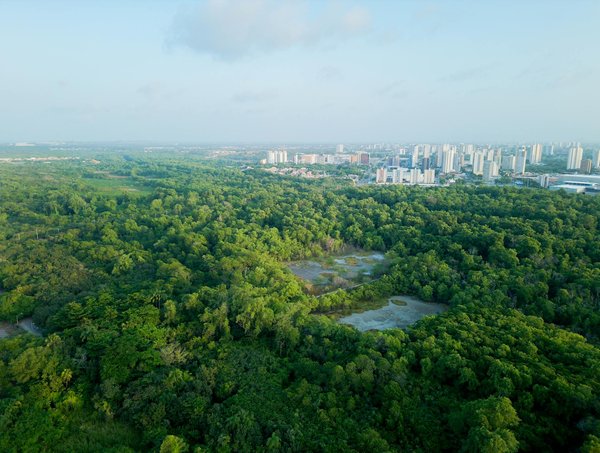 Découvrez des Stratégies Révolutionnaires pour Améliorer l'Efficacité Énergétique des Vieux Bâtiments Résidentiels